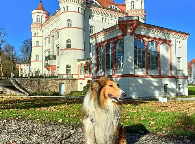 Widokowy Karkonosze Apartman